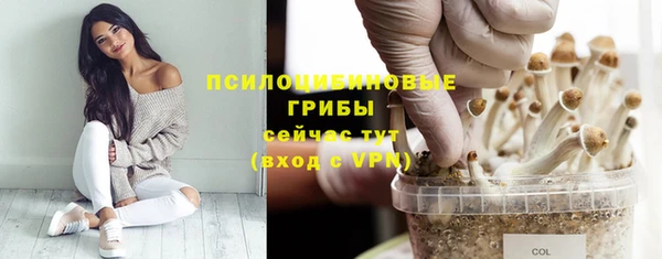 MESCALINE Верея