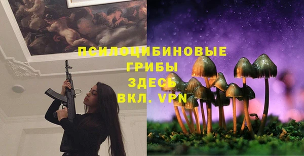 MESCALINE Верея