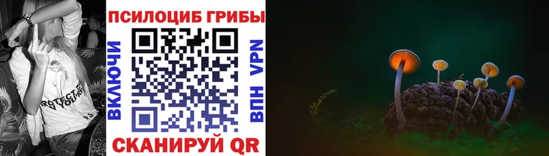 Галлюциногенные грибы мухоморы  что такое наркотик  Медногорск 