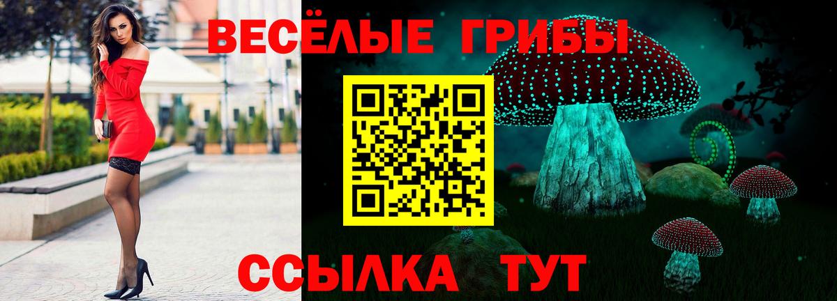 Псилоцибиновые грибы GOLDEN TEACHER  Галлюциногенные грибы GOLDEN TEACHER  Медногорск  Вход с VPN 